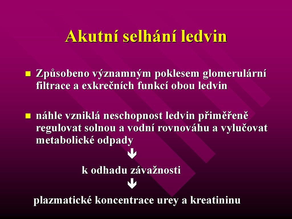 Speci Ln Patofyziologie Ledvin Ppt St Hnout